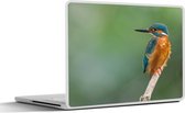 Laptop sticker - 17.3 inch - IJsvogel - Takken - Prooi - 40x30cm - Laptopstickers - Laptop skin - Cover