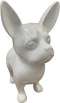 Chihuahua XL - Hond - Decoratie - Staand - Beeld - Kunststof - Hoogglans Wit - 50cm