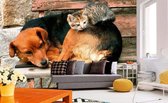 Dimex Cat and Dog Vlies Fotobehang 375x250cm 5-banen