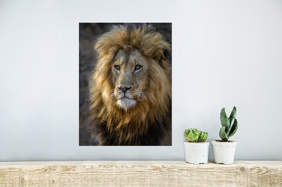 Affiche Le Roi Lion 40x60 cm - Tirage photo sur Poster (décoration
