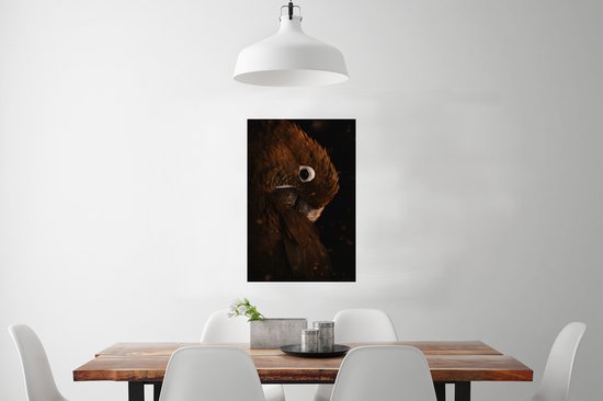 Affiche Perroquet - Vogel - Ressorts - 40x60 cm