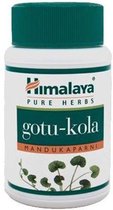 Supplementen - Gotu Kola 60 Capsules Himalaya -