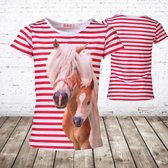 Paarden shirt streep rood -s&C-86/92-t-shirts meisjes