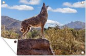 Tuindecoratie Wolf - Rots - Amerika - 60x40 cm - Tuinposter - Tuindoek - Buitenposter