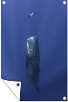 Décoration murale Cachalot - Plongeur - Blauw - 120x180 cm - Poster jardin - Toile jardin - Poster extérieur