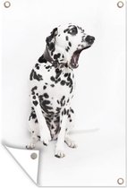 Tuindecoratie Hond - Dalmatier - Wit - 40x60 cm - Tuinposter - Tuindoek - Buitenposter