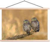 Affiche textielposter couple hiboux 150x100 cm