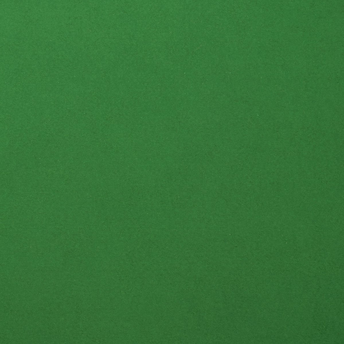 Florence Karton - Broccoli - 305x305mm - Gladde textuur - 216g