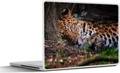 Laptop sticker - 12.3 inch - Panter - Boom - Jungle - 30x22cm - Laptopstickers - Laptop skin - Cover