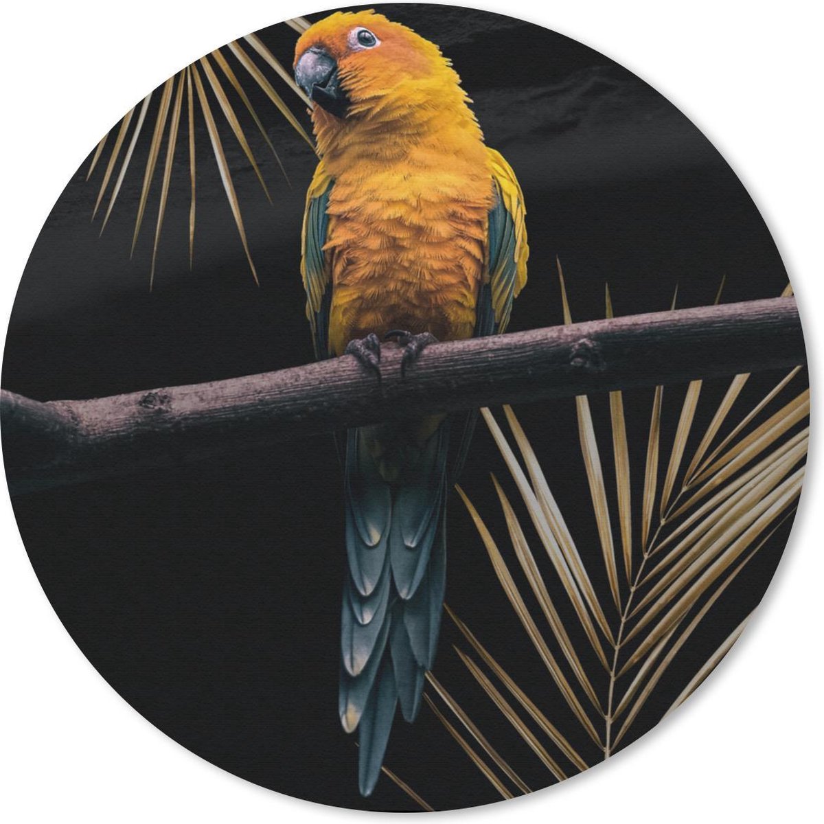 Muismat rond 20x20 cm - Mousepad Vogel - Papegaai - Tak - Varen - Ronde muismatten