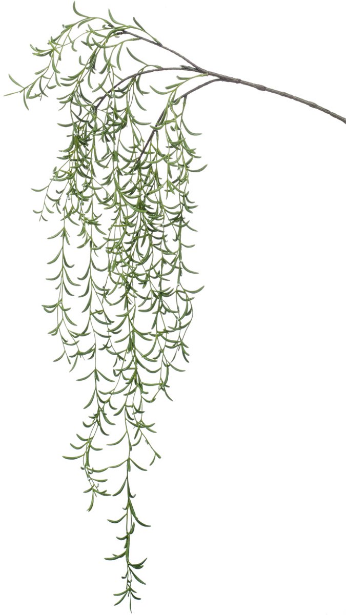 Kunst Hoya hangplant 120 cm