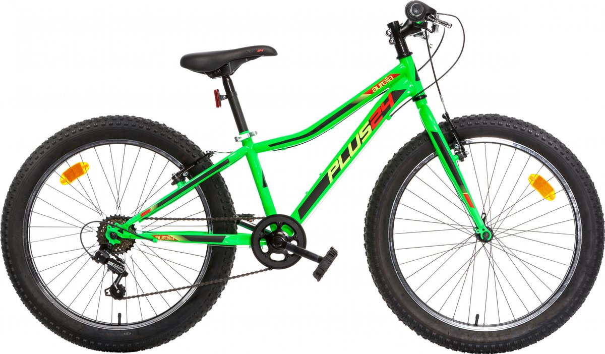 Aurelia Plus 24 Inch Mountainbike - 6 Versnellingen - Groen