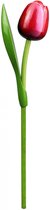 Gevavi - Houten Tulp - Decoratie - Gekleurde Tulp - Holland Souvenir - Rood/wit - 34cm