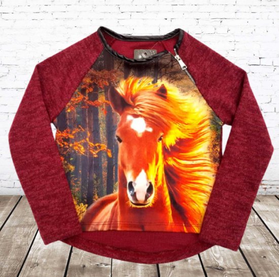 Pull S&C rouge avec cheval - 86/92