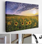 Field at sunrise sunlight, panoramic summer nature blossom image, location Provence, France, Europe - Modern Art Canvas - Horizontal - 1660119457 - 40*30 Horizontal