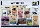 Struisvogels – Luxe postzegel pakket (A6 formaat) : collectie van verschillende postzegels van struisvogels – kan als ansichtkaart in een A6 envelop - authentiek cadeau - kado - ge