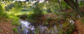 Fotobehang Springendal Twente 450 x 260 cm