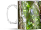 Mok - Coati die uit een boom springt - 350 ml - Beker