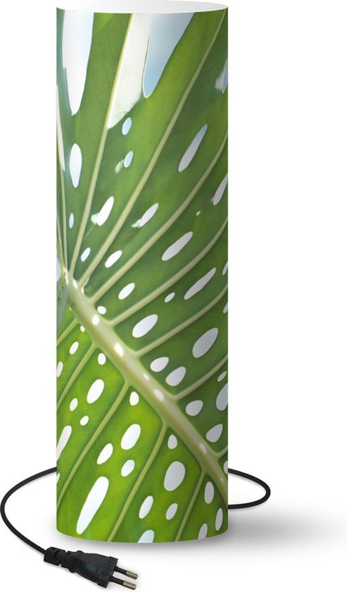 Lamp - Nachtlampje - Tafellamp slaapkamer - Een groen botanisch blad in de  zon - 50 cm... | bol.com