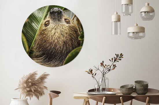 WallCircle - Wall Circle - Wall Circle Indoor - Paresseux - Feuilles - Animal - 120x120 cm - Décoration murale - Peintures Ronds XXL
