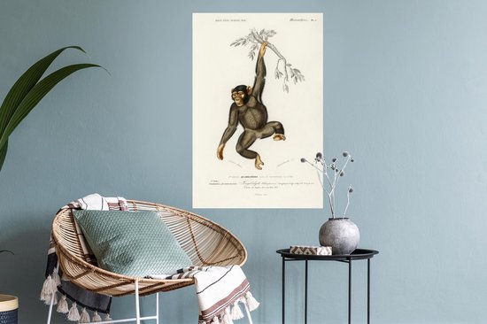 Stickers muraux - Singe - Vintage - Branche - 40x60 cm - Film Adhésif