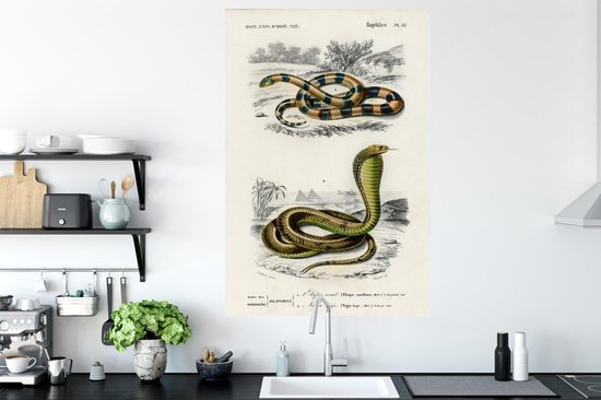 Stickers muraux - Serpent - Vintage - Reptiles - 80x120 cm - Film Adhésif