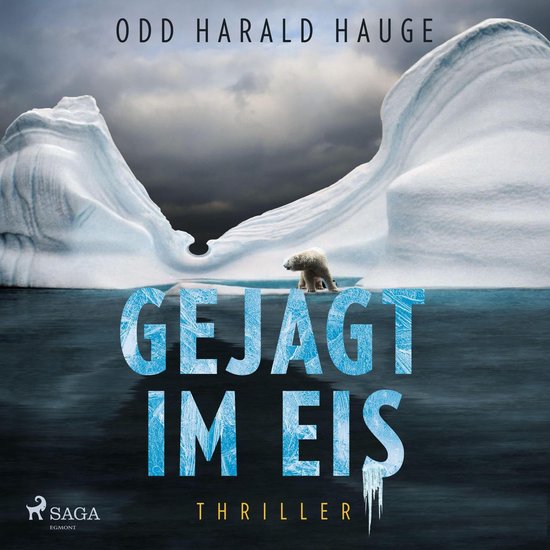 Gejagt im Eis - Thriller - cover