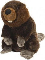 knuffel bever junior 20 cm pluche bruin