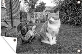 Tuinposters buiten Hond en kat zittend in het gras - zwart wit - 90x60 cm - Tuindoek - Buitenposter