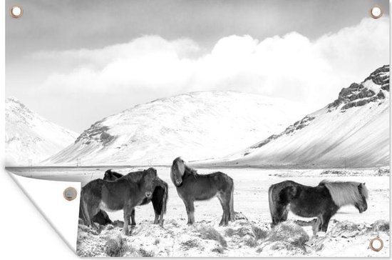 Tuindecoratie IJslander paarden aan de voet van een besneeuwde berg - zwart wit - 60x40 cm - Tuinposter - Tuindoek - Buitenposter