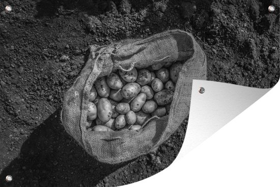 Décoration de jardin Pomme de terre - Toile de jute - Sac - Ferme