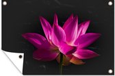 Muurdecoratie Lotus - Roze - Bloem - 180x120 cm - Tuinposter - Tuindoek - Buitenposter