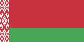 Vlag Wit Rusland - Officieel 30x45cm