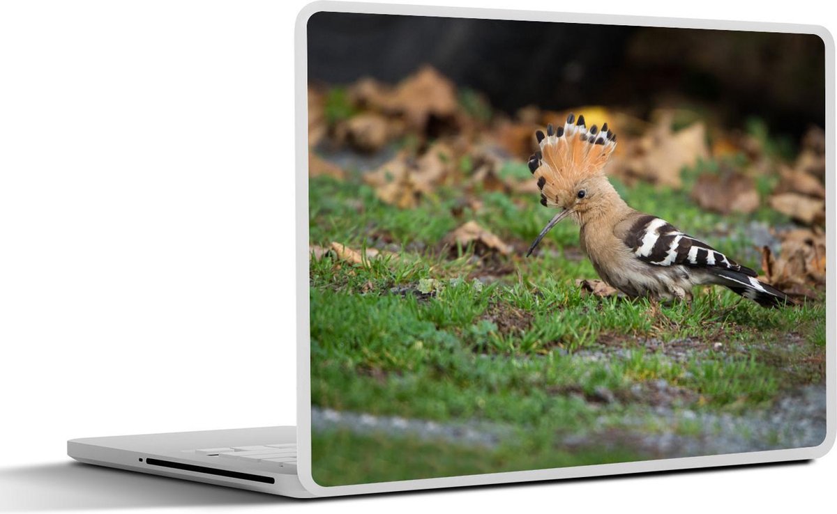 Afbeelding van product SleevesAndCases  Laptop sticker - 15.6 inch - De hop zit op de grond