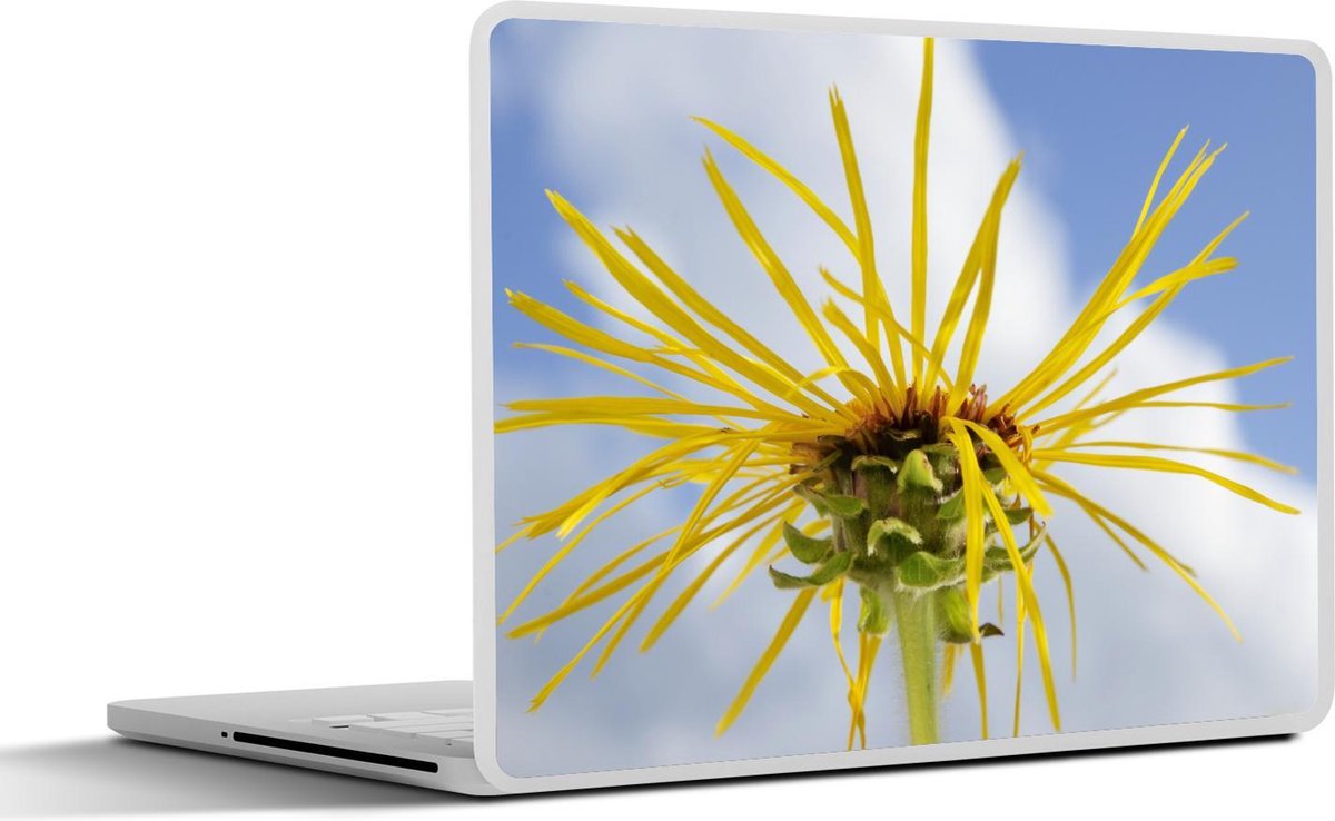 Afbeelding van product SleevesAndCases  Laptop sticker - 13.3 inch - Witte wolken boven een Alant bloem