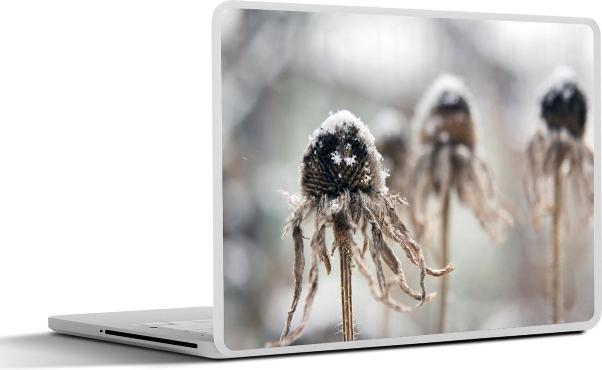 Afbeelding van product SleevesAndCases  Laptop sticker - 11.6 inch - Bevroren Echinacea bloemen