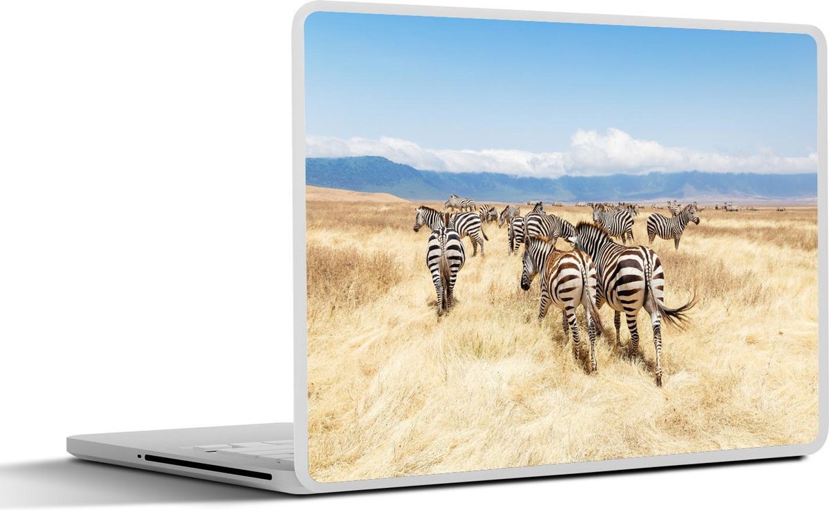 Afbeelding van product SleevesAndCases  Laptop sticker - 12.3 inch - Kudde zebra's in de Ngorongoro-krater