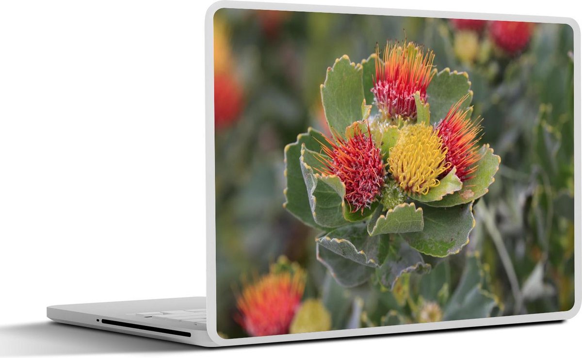Afbeelding van product SleevesAndCases  Laptop sticker - 15.6 inch - Nutan bloem in een veld