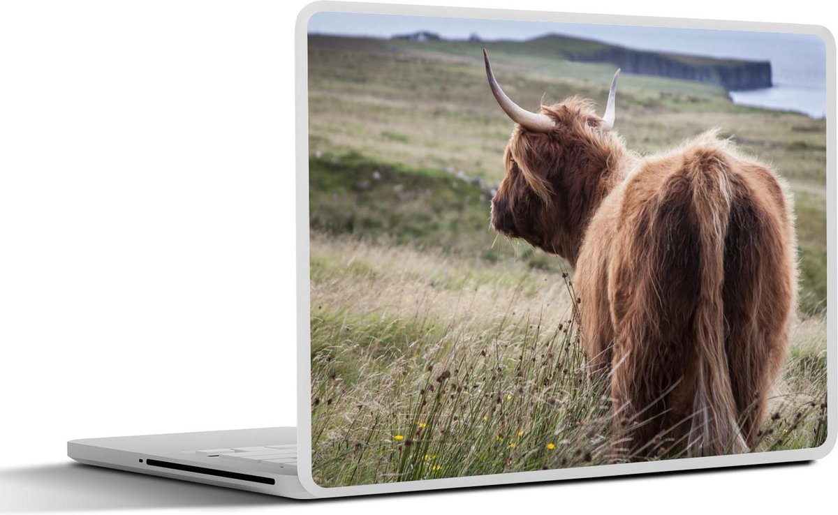 Afbeelding van product SleevesAndCases  Laptop sticker - 10.1 inch - Schotse Hooglander - Natuur - Zee
