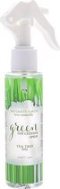 Sex Toy Reiniger Intimate Earth (125 ml)