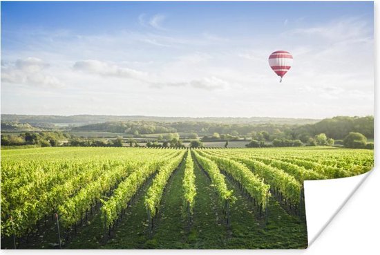 Poster Luchtballon - Druivenplant - Licht - 30x20 cm