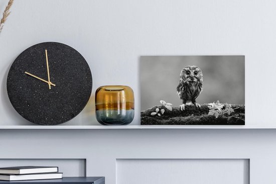 Peintures sur Toile - chouette - noir et blanc - 30x20 cm - Décoration murale