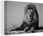 Canvas Schilderij Rustende leeuw op een rotsblok - zwart wit - 90x60 cm - Wanddecoratie