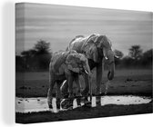 Canvas Schilderij Twee olifanten bij zonsondergang - zwart wit - 120x80 cm - Wanddecoratie