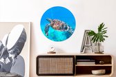 WallCircle - Wandcirkel ⌀ 60 - Zee - Schildpad - Water - Ronde schilderijen woonkamer - Wandbord rond - Muurdecoratie cirkel - Kamer decoratie binnen - Wanddecoratie muurcirkel - Woonaccessoires