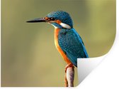 Muurstickers - Sticker Folie - IJsvogel - Tak - Dieren - 80x60 cm - Plakfolie - Muurstickers Kinderkamer - Zelfklevend Behang - Zelfklevend behangpapier - Stickerfolie