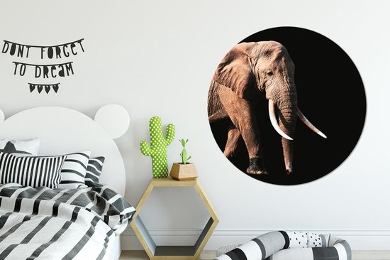 Cercle mural - Plastique - Éléphant - Dents - Animaux - ⌀ 140 cm