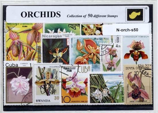 Afbeelding van het spel Orchideeen – Luxe postzegel pakket (A6 formaat) : collectie van 50 verschillende postzegels van orchideeen – kan als ansichtkaart in een A6 envelop - authentiek cadeau - kado - geschenk - kaart - cattleya - cymbidium - orchidee - vanda - bloem