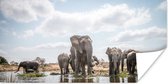 Poster Olifant - Water - Afrikaans - 120x60 cm