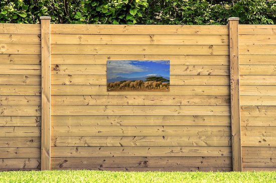 Poster de jardin Eléphant - Berg - Tanzanie - 80x40 cm - Décoration murale Outdoor - Poster de jardin - Toile de jardin - Poster de clôture - Tableau de jardin